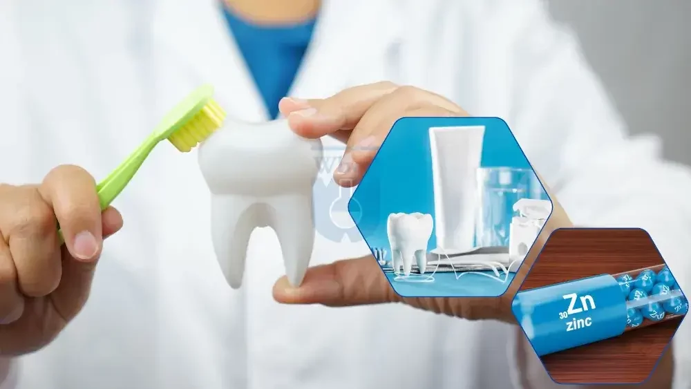 Manfaat Zinc untuk Kesehatan Gigi dan Cara Kerjanya 2 manfaat zinc untuk gigi 1