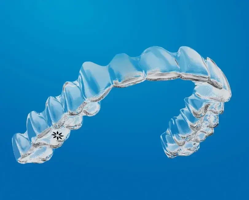 cara kerja invisalign 2